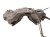 ZBIORNIK PALIWA BAK MERCEDES ML W166 (2011-2015) 2.2 BlueTEC 204KM A168470