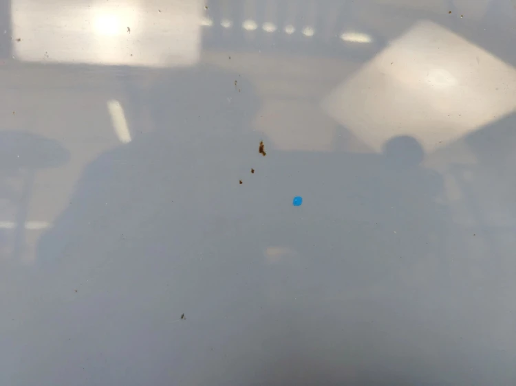 MASKA KIA PICANTO II (2011-2015) 1.2 16V 85KM W KOLOR