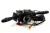 PRZEŁĄCZNIK ZESPOLONY RENAULT SCENIC I LIFT RX 1.9 DCI 7700428203