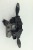 PRZEŁĄCZNIK ZESPOLONY FORD FOCUS MK1 1.6 16V 98AB-14A664-AG