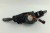 PRZEŁĄCZNIK ZESPOLONY CITROEN BERLINGO II (2003-2010) 1.9 DW8 9620376580