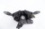 PRZEŁĄCZNIK ZESPOLONY FORD FOCUS MK1 1.8 TDCI 98AG-13335-AE