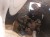 ZDERZAK TYŁ AUDI A4 B8 (2007-2011) 2.0 TDI 143KM