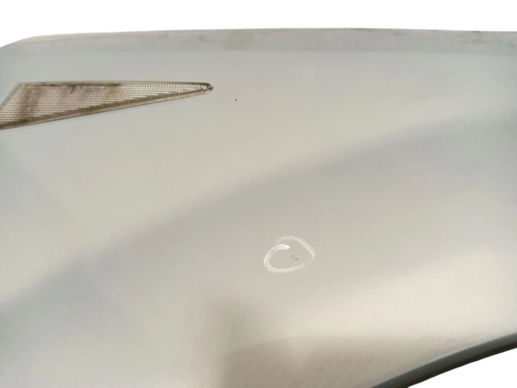 BŁOTNIK PRAWY PRZÓD RENAULT SCENIC II (2003-2005) 1.9 DCI 120KM 8200020569