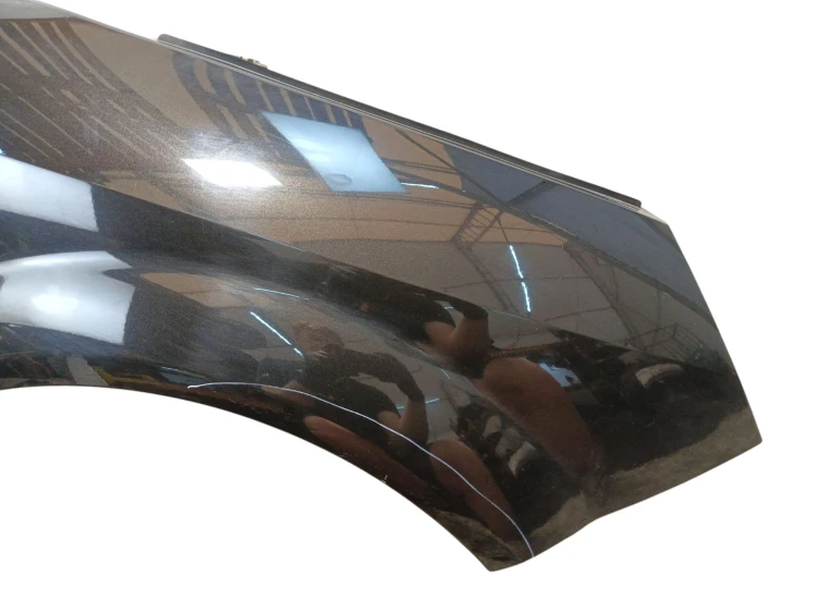 BŁOTNIK PRAWY PRZÓD RENAULT SCENIC II LIFT (2006-2009) 2.0 16V 135KM WERYFI