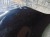 MASKA LEXUS IS II 2.2 D