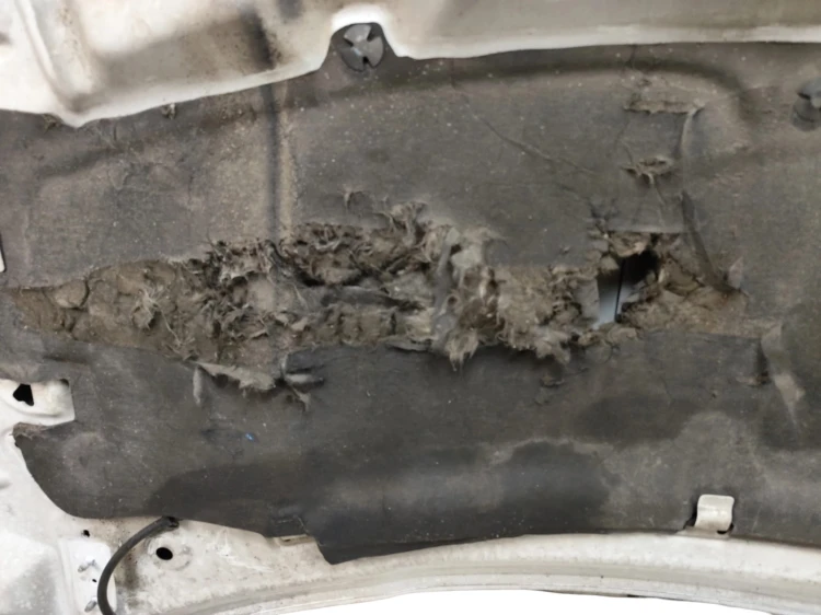 MASKA JEEP COMPASS I LIFT (2011-2013) 2.2 CRD 163KM