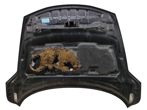 MASKA NISSAN JUKE I F15 (2010-2014) 1.6 16V 117KM