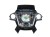 PODUSZKA KIEROWCY FORD KUGA MK2 (2012-2016) 2.0 TDCI 140KM EM51-R042B85-BA