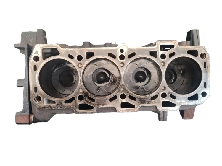 BLOK SILNIKA OPEL INSIGNIA A (2008-2013) 2.0 CDTI 160KM A20DTH