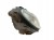 LAMPA PRAWY PRZÓD MERCEDES C W203 (2000-2003) 2.7 CDI 170KM A2038200261