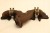 KOLEKTOR WYDECHOWY MERCEDES E W210 (1995-1999) 4.2 V8 279KM 1191428102