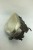 LAMPA LEWY PRZÓD MERCEDES VANEO W414 1.7 CDI A4148200061