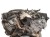 SILNIK KOMPLETNY MERCEDES CLS X218 LIFT (2014-2018) 3.0 BlueTEC 258KM 64285