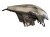 LAMPA PRAWY PRZÓD MERCEDES ML W163 (1997-2001)