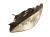 LAMPA LEWY PRZÓD MERCEDES S W221 (2005-2009) 3.5 V6 272KM A2218200761