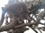 SILNIK KOMPLETNY FIAT PANDA III (2011-2020) 1.2 8V 69KM 169A4000