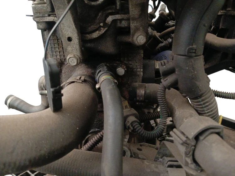 SILNIK KOMPLETNY FIAT GRANDE PUNTO (2005-2012) 1.2 8V 65KM 199A4000