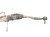 MAGLOWNICA CITROEN C6 (2005-2012) 2.7 HDI V6 D2X6G